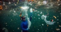 US Leads Global Plastic Waste Output, Report Finds