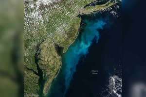 NASA's PACE Mission Tracks Spring Phytoplankton Blooms in Mid-Atlantic Waters