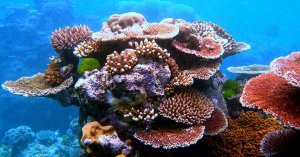 Palau&rsquo;s 2020 Sunscreen Ban Targets Reef-Damaging Chemicals